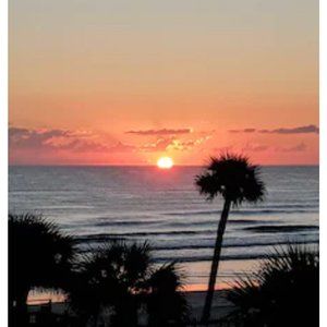 Meet your Posher, Sandy